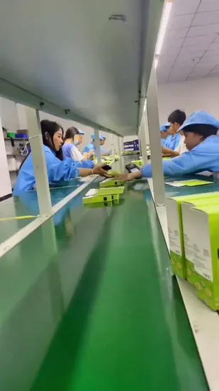 オリジナル品質電話 13 プロマックス Mag 安全磁気リング電話ケースカバークリアシリコン Magsafing ワイヤレス充電器